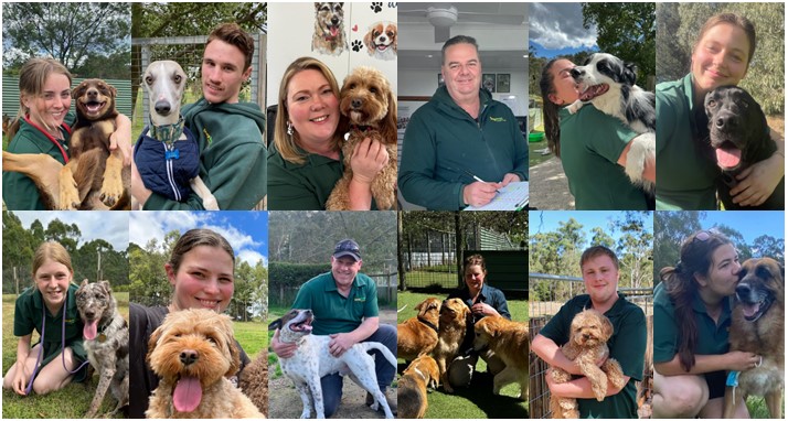 The Dogdayz team — trained in animal care and canine first aid